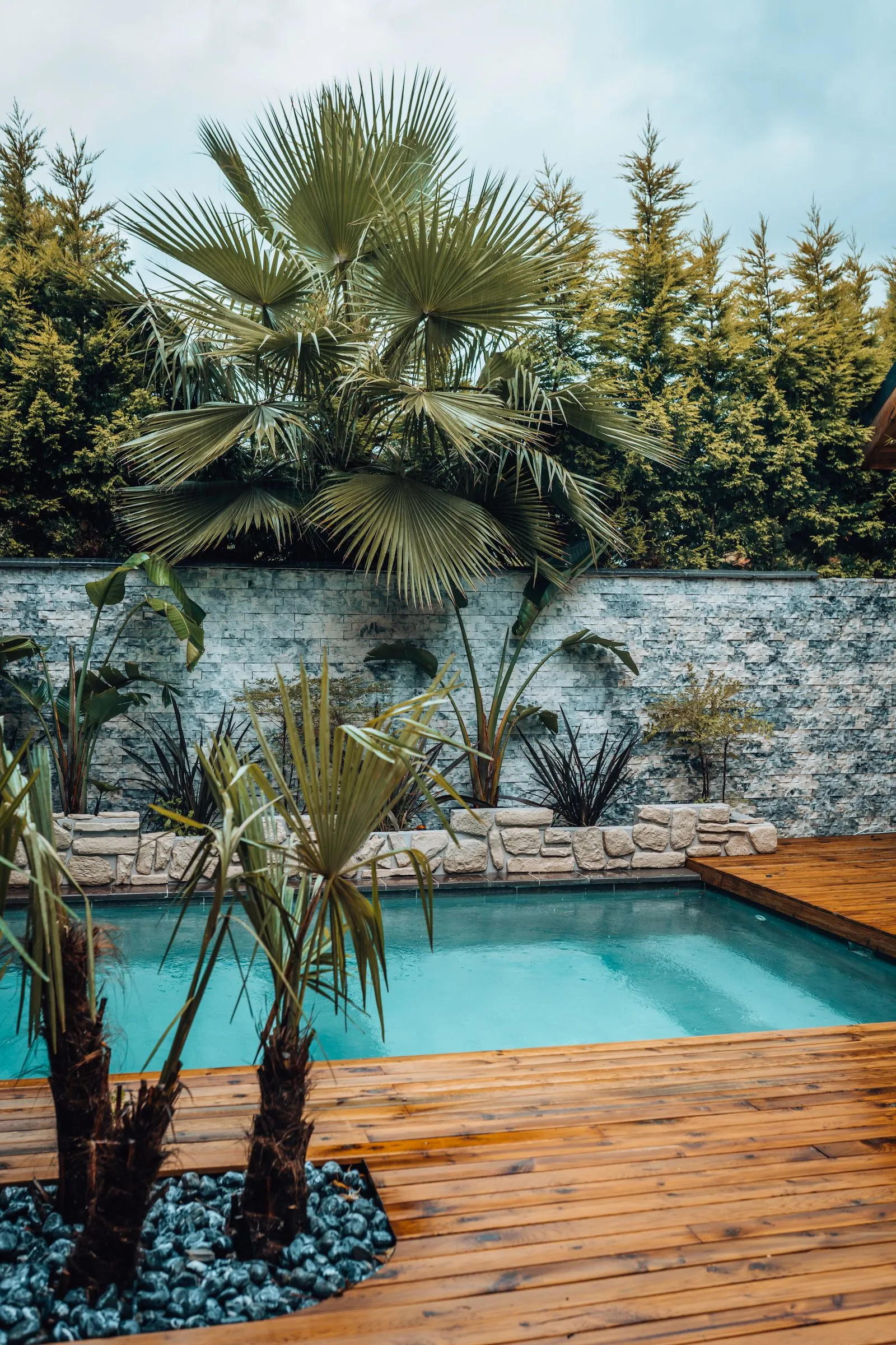 Tropical plunge pool with palms, stone wall, and wood deck