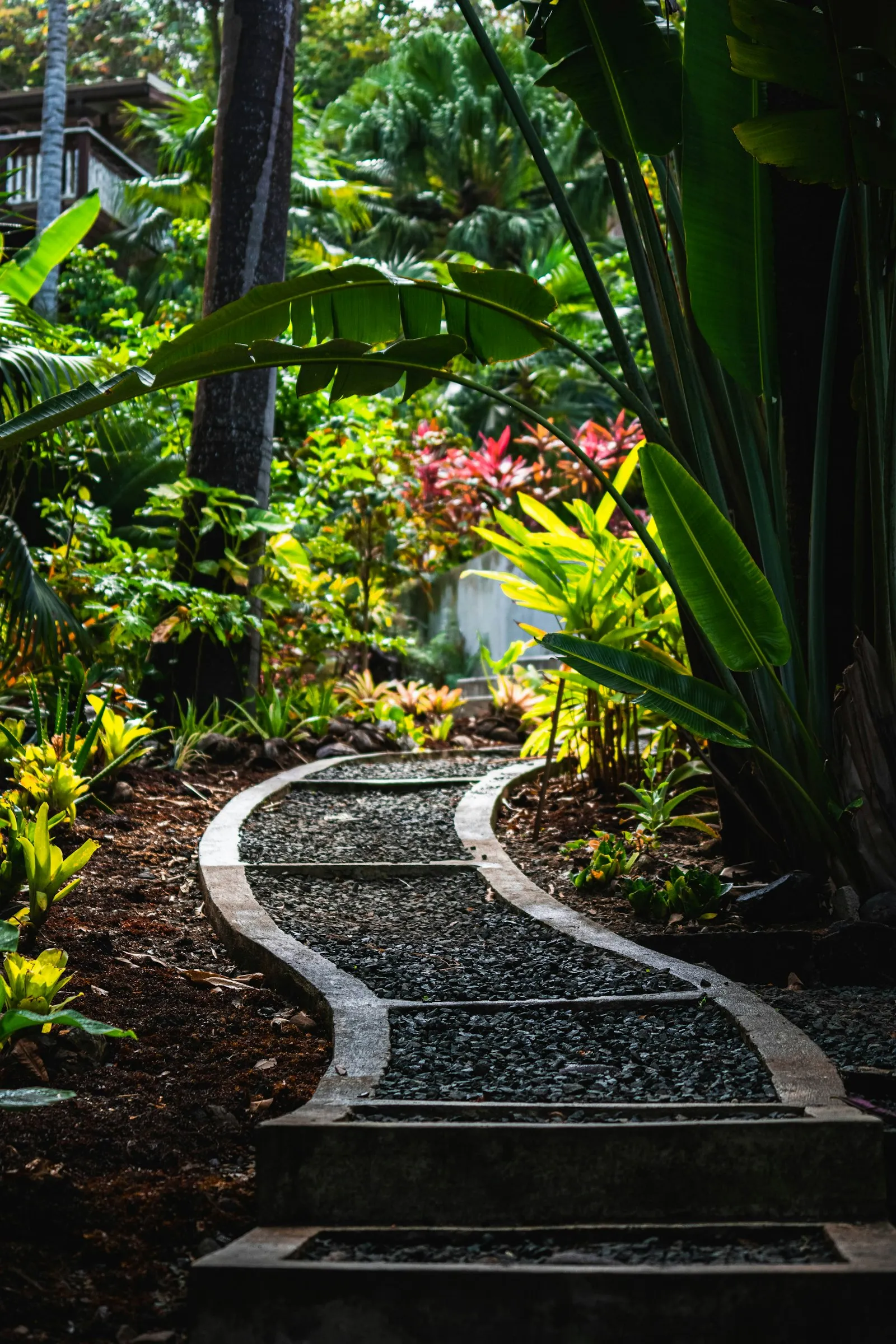 Designed tropical garden path with stone borders and layered plantings