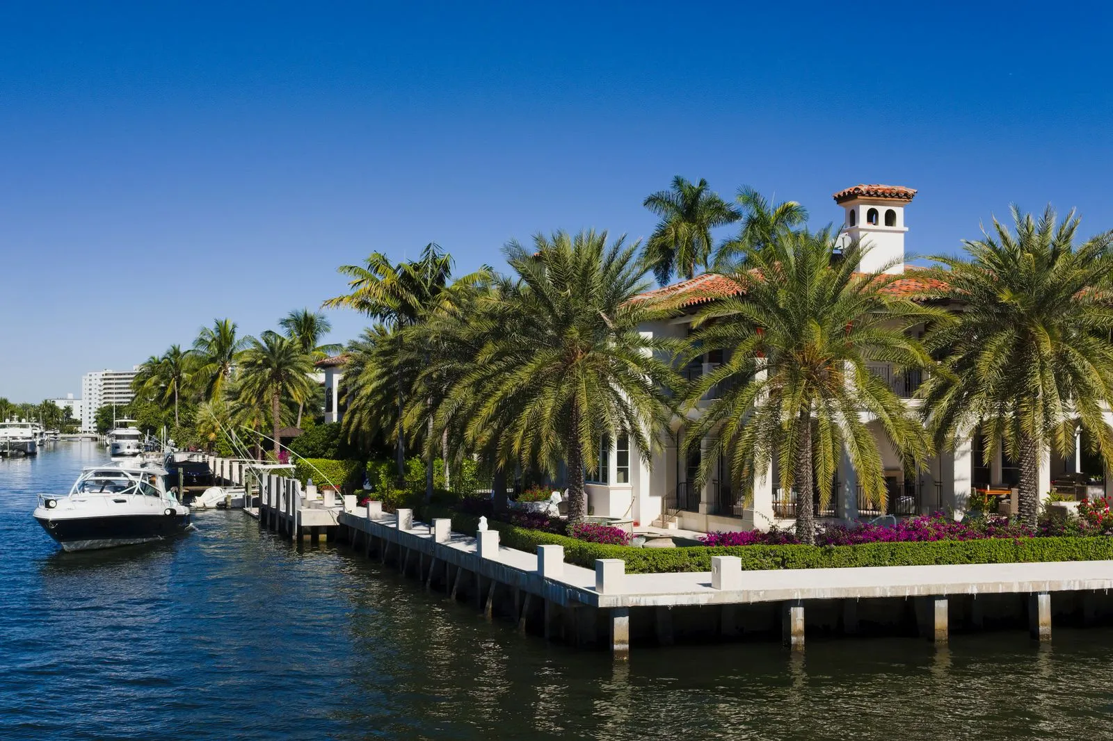 Manicured waterfront grounds with mature palms