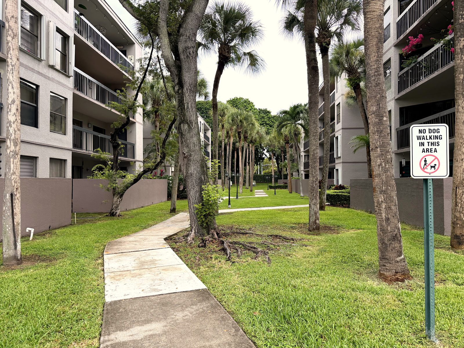 Calusa Club Village — Recurring Landscape Maintenance