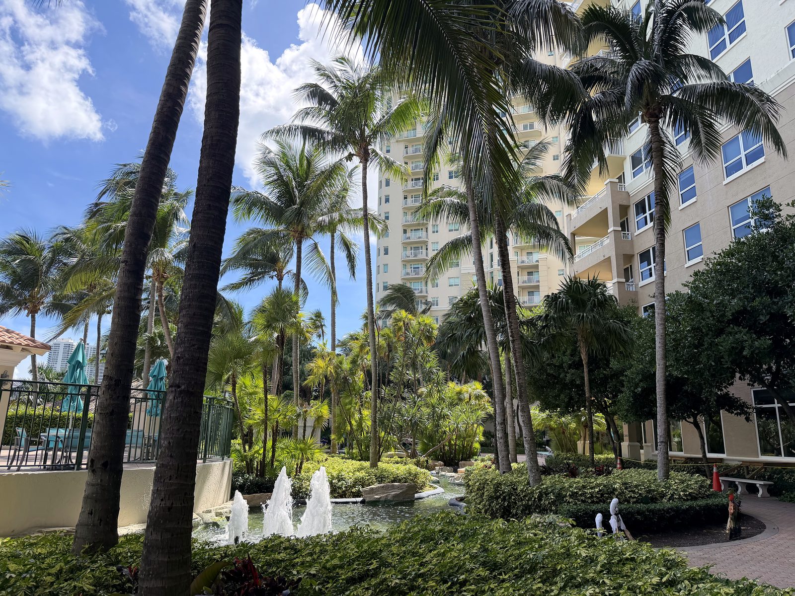 Turnberry on the Green — Palm Cleaning & Pruning