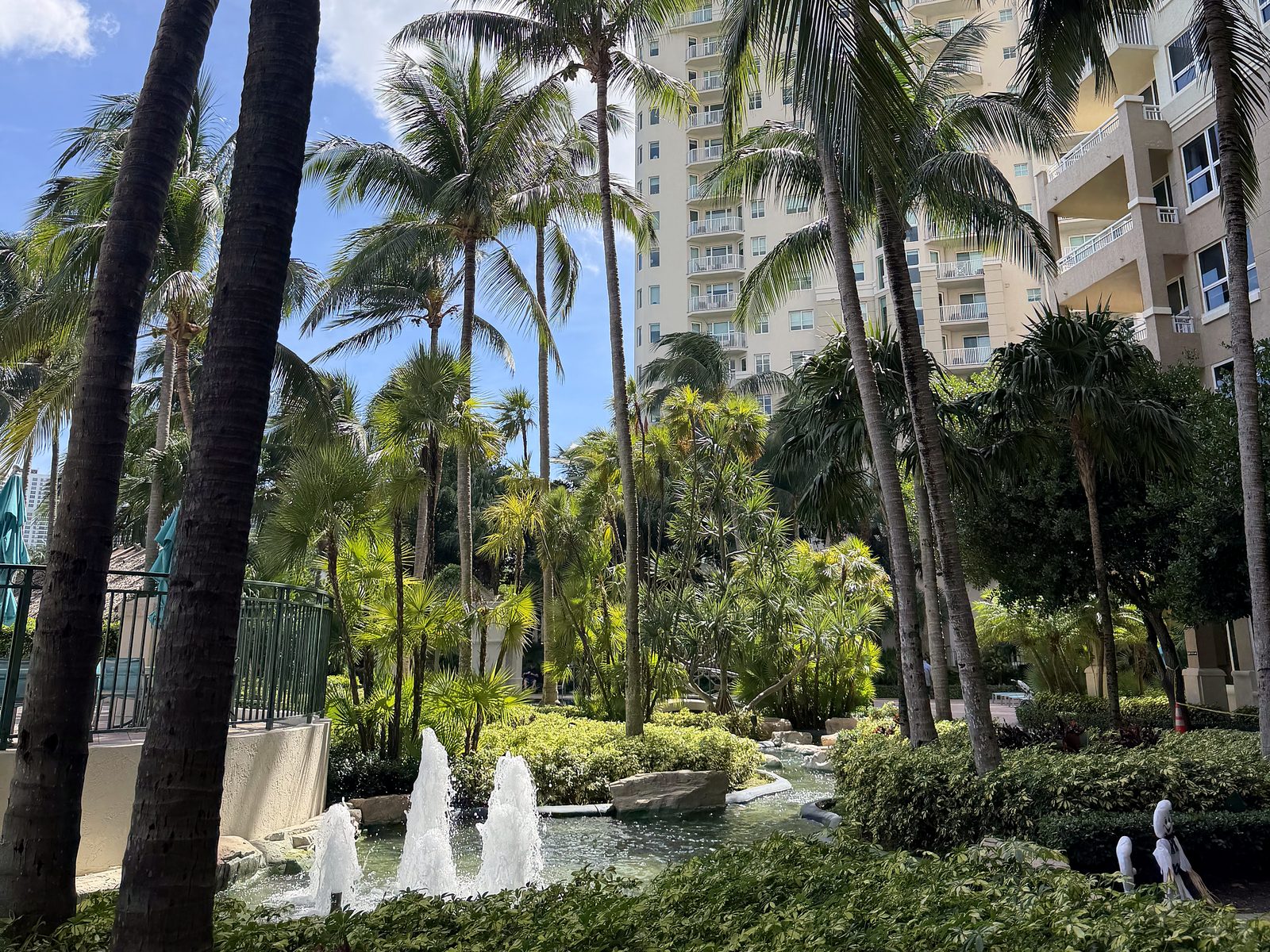 Turnberry on the Green — Palm Cleaning & Pruning
