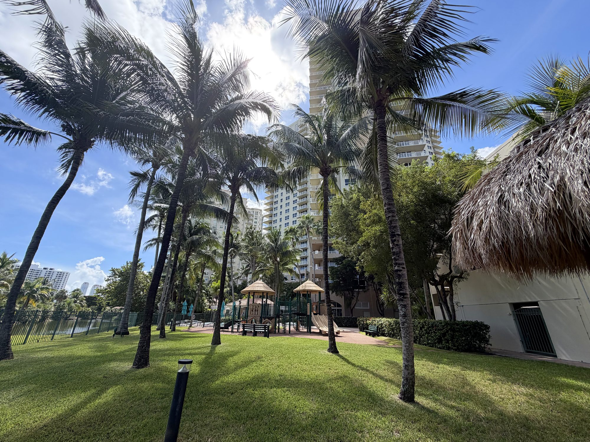 Turnberry on the Green — Palm Cleaning & Pruning