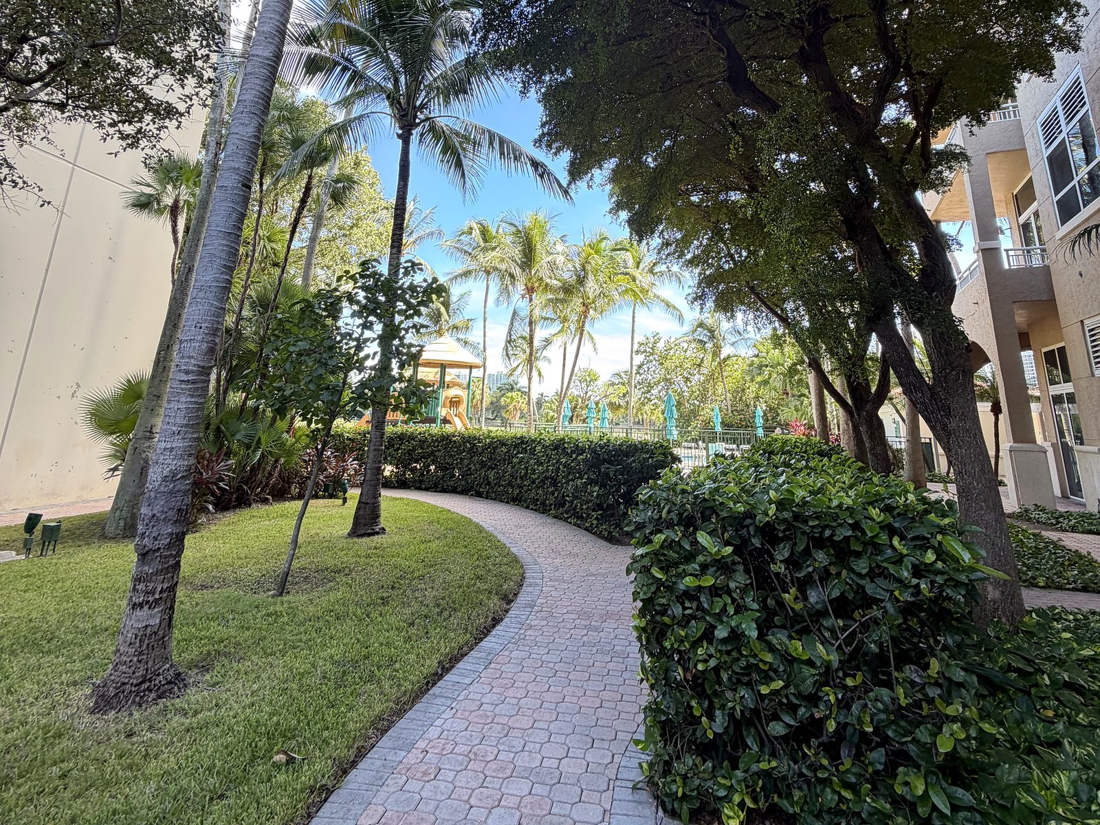 Turnberry on the Green — Palm Cleaning & Pruning