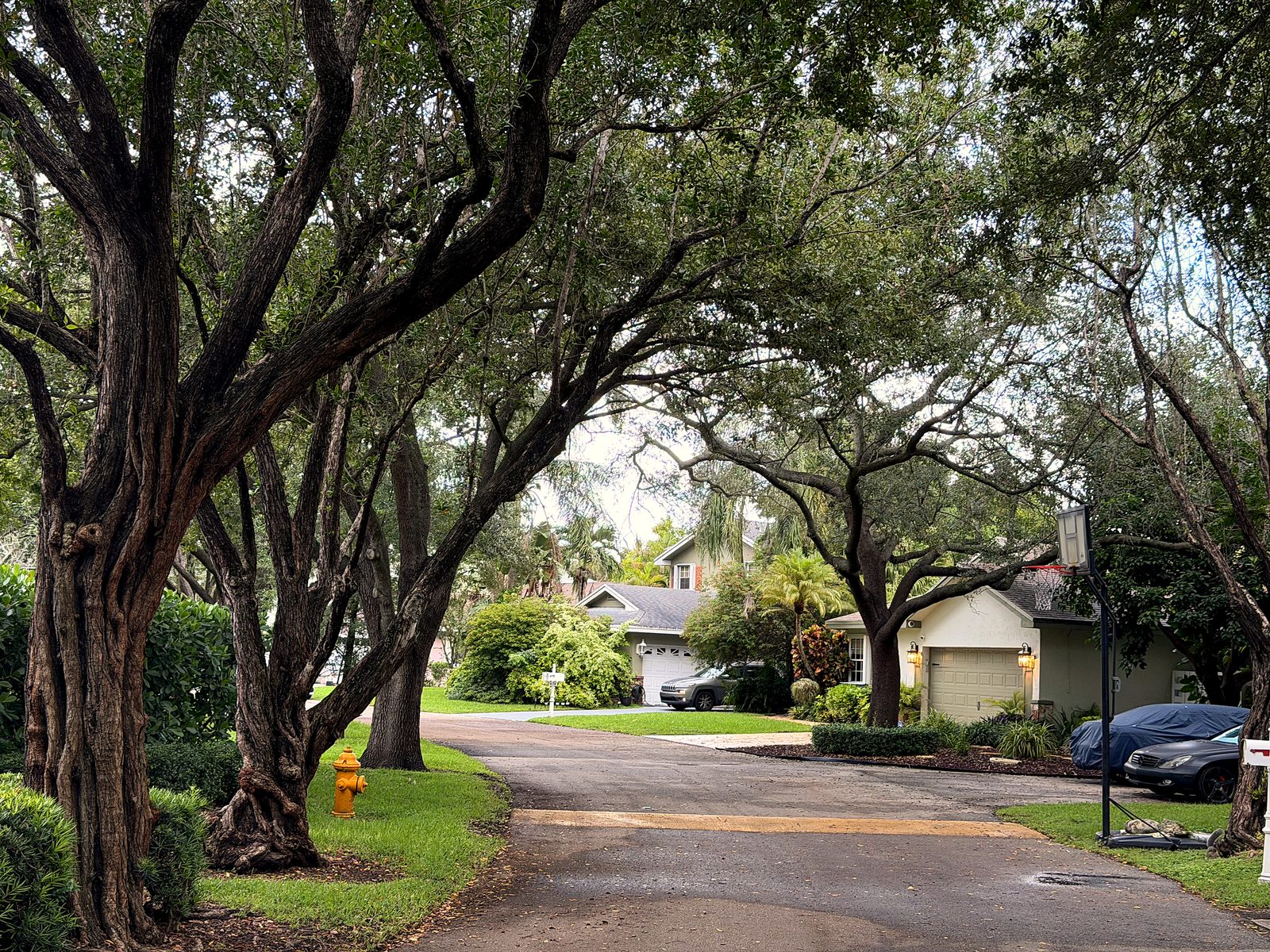 Village Homes at Country Walk — HOA Landscape Maintenance